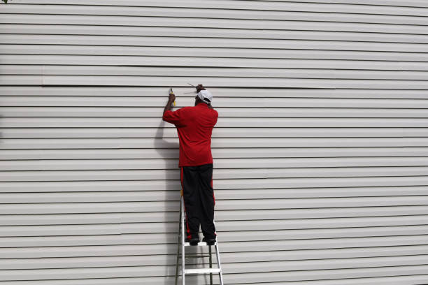 Best Insulated Siding Installation  in USA